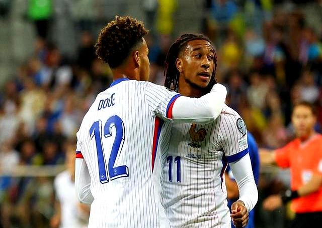 瑞士队在欧预赛中展现强大实力激动球迷