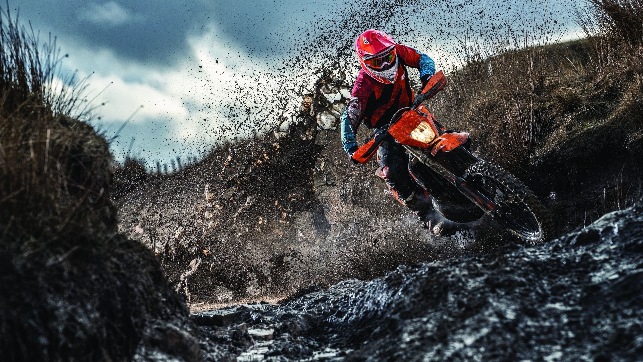 以下是为您构思的文章